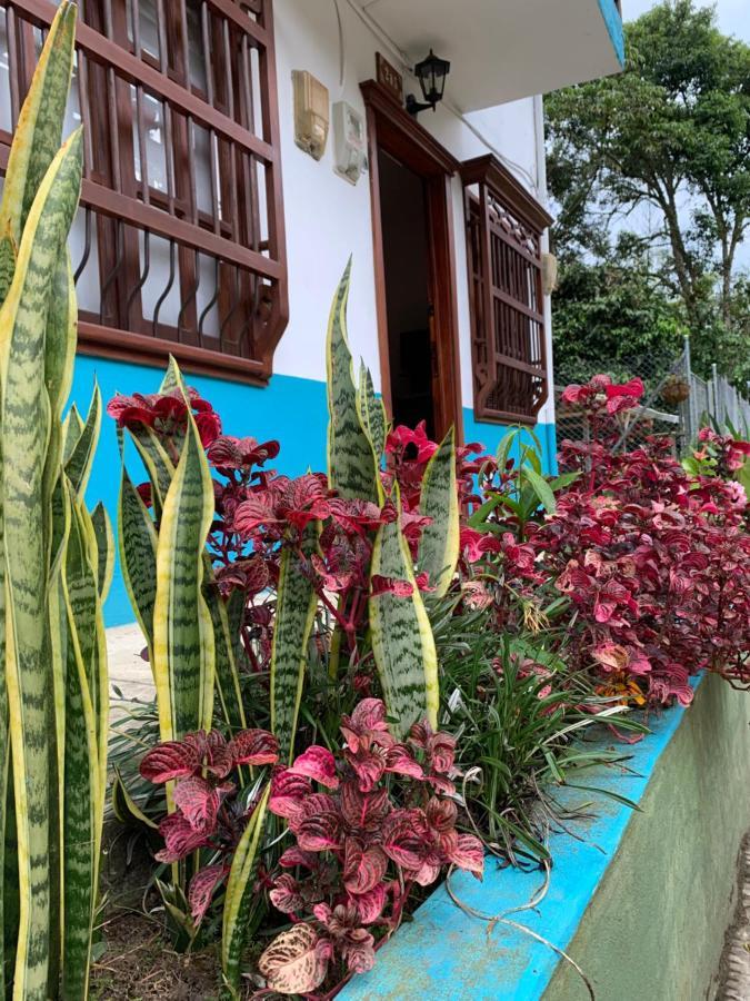 Casa Huespedes El Ensueno Hotel Jardin Bagian luar foto